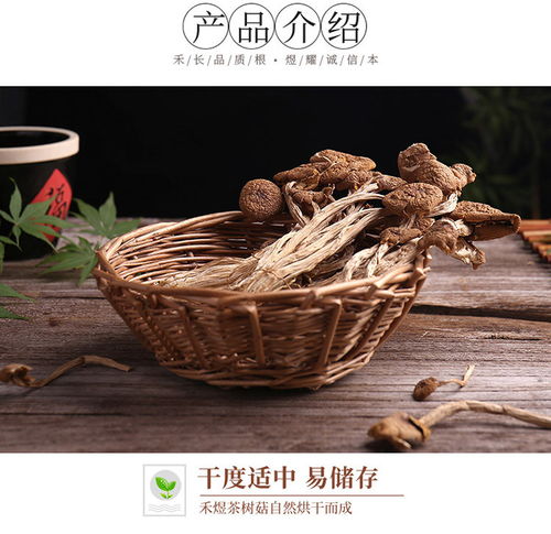 禾煜 福建古田茶樹菇40g 蘑菇菌菇食用菌 山珍南北干貨 福建古田特產