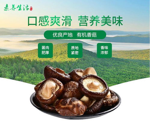 山里人的“黃金傘” 廣西桂林靈川自制干香菇，點亮湯鍋的鮮美秘密