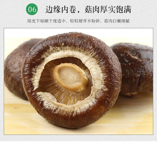 品質與實惠兼備 探尋干香菇的營養與烹飪新體驗