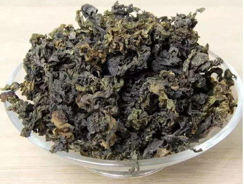 雷公屎 外表污穢卻身價高貴，為何總被視為珍寶？